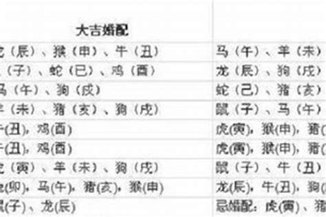 97年 生肖|97年属什么 97年属什么的生肖配对